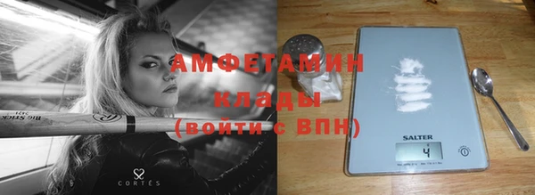 винт Абаза