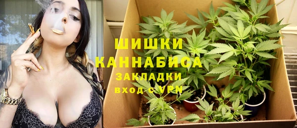 винт Абаза