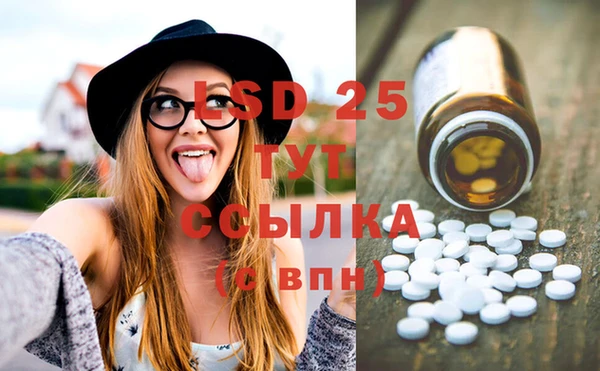 винт Абаза