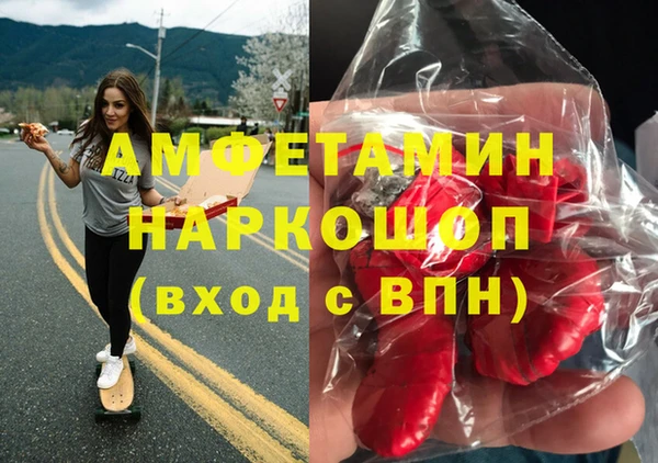 винт Абаза