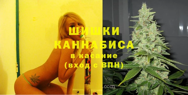 винт Абаза