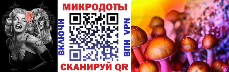 закладка блэк спрут сайт Галлюциногенные грибы Magic Shrooms Алдан